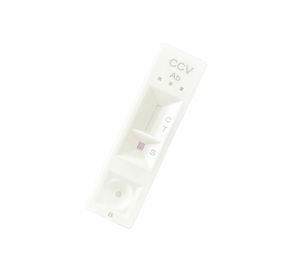 Testkit für Infektionskrankheiten 1