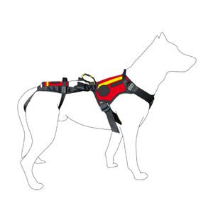 Tragegurt für Veterinärmedizin