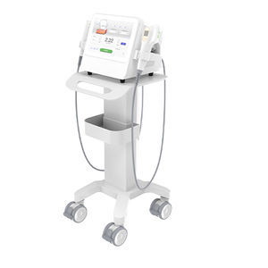 HIFU-Body-Contouring-Gerät 1