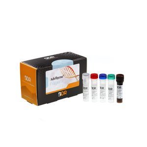 Reagenzkit / als Lösung