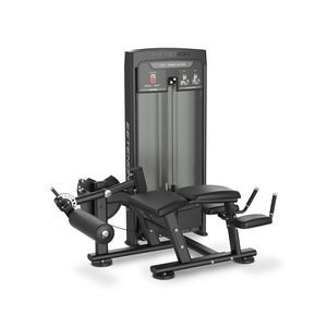 Bein-Curl-Kraftstation 1