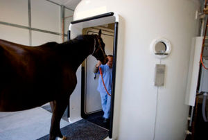 Veterinärmedizinische Überdruckkabine / für Pferde