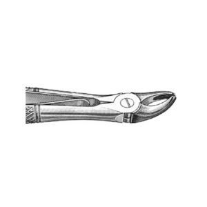 Dentale Extraktionszange / für Veterinärmedizin 1