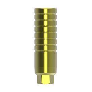 Implantat-Abutment / Titan