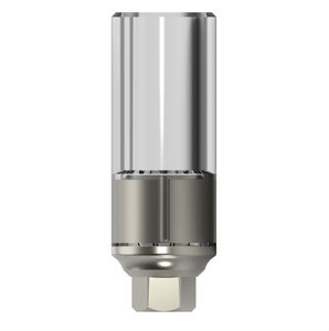 Implantat-Abutment / CoCr