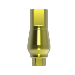 Implantat-Abutment / Titan