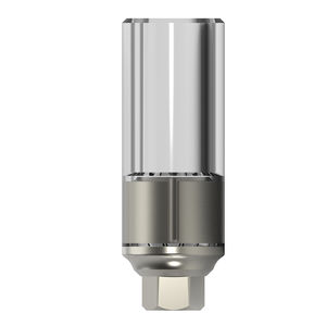 Implantat-Abutment / Kunststoff