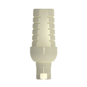 Implantat-Abutment / PEEK