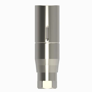 Implantat-Abutment / Titan