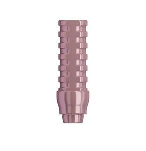 Implantat-Abutment / Titan 1