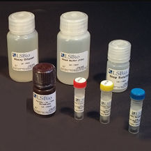 Testkit / alkalische Phosphatase