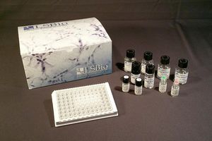 Testkit für Forschungszwecke 1