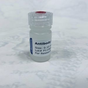 polyklonale Antikörper 1