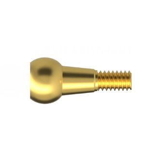 Implantat-Abutment / Titan 1