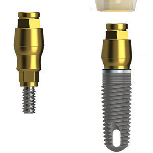Implantat-Abutment / Titan 1