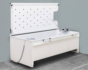 elektrische Pflegebadewanne 1