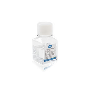 antibiotisches Reagenz