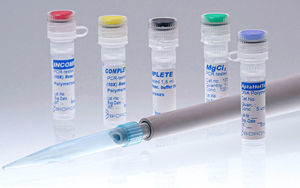 DNA-Polymerase-Reagenz
