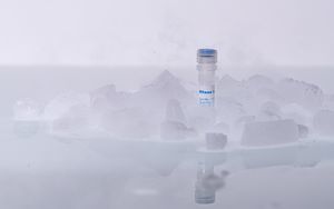 RNase-Inhibitor-Reagenz