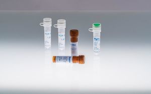 DNA-Polymerase-Reagenz