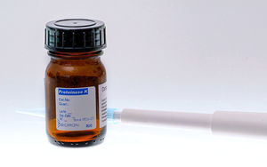 Protease Reagenz