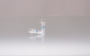 DNA-Polymerase-Reagenz