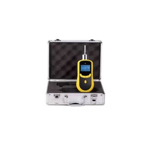 tragbarer Sensor 1