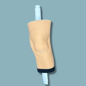 Anatomisches Modell / Knie 1