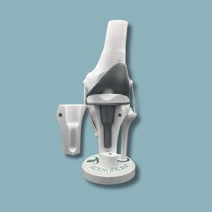 Anatomisches Modell / Knie