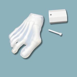 Anatomisches Modell / Kit