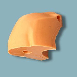 Anatomisches Modell / Schulter