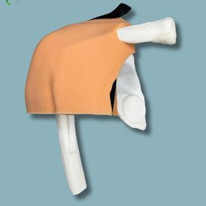 Anatomisches Modell / Schulter