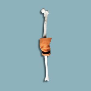 Simulationsmodul für Arthroskopie