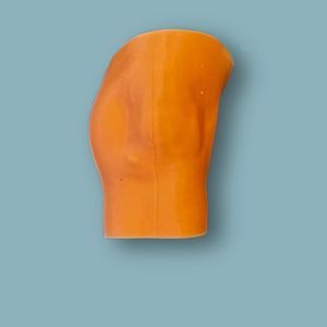 Anatomisches Modell / Knie