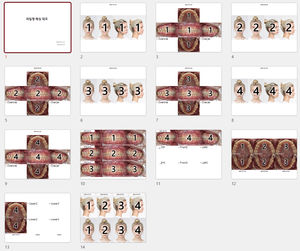 Dental-Software