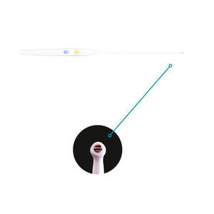 Elektrode für Ablation 1