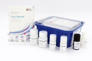 Albumin-Testkit