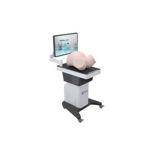 Patientensimulator für Uterusabtastung