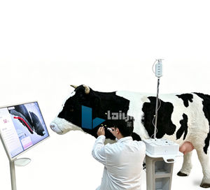 Trainingssimulator 1