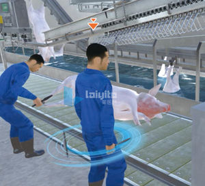 Simulationssoftware 1