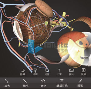 Visualisierungssoftware