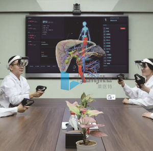 Visualisierungssoftware