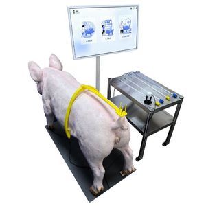 Simulator für Veterinärmedizin