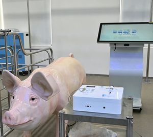 Simulator für Veterinärmedizin