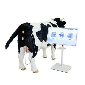 Simulator für Veterinärmedizin