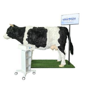 Simulator für Veterinärmedizin