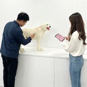 Simulator für Veterinärmedizin