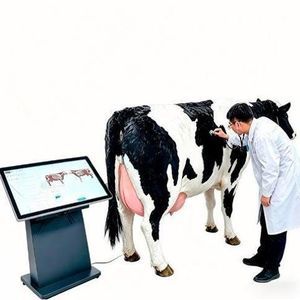 Simulator für Veterinärmedizin