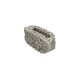 LWS-Zwischenwirbelimplantat