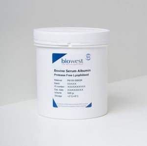 Reagenz / Albumin aus Rinderserum 1